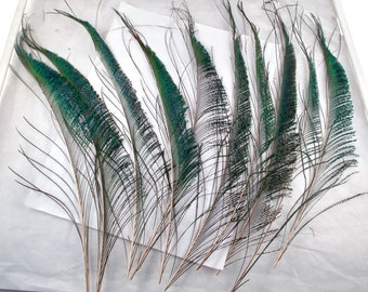 Peacock Sword Feathers, Cruelty-Free Crafting Supplies, Wedding Decor, 12" Length canada