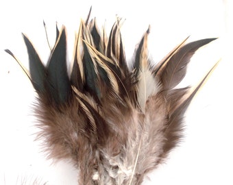 Feathers strung Saddle Badger 40 pcs premium 6 to 8 inch   Natural craft feathers