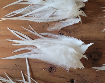 24  natural white Feathers 3 to 10 inches craft feathers saddle hackle hair Feathers