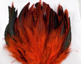 50 Orange Schlappen Feathers: Half Bronze Dyed, 5-7" Craft Supply