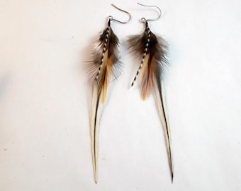 egg shell small natural feathers