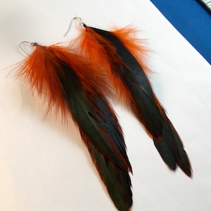 May include: A pair of long dangle earrings featuring natural feathers with a gradient color pattern. The feathers transition from a vibrant orange at the top near the silver-toned metal hook wires to a deep, dark black at the pointed tips.