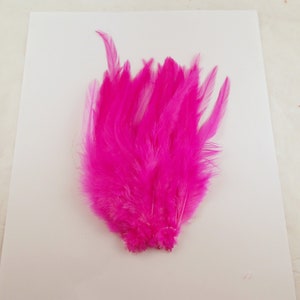 Hot Pink Saddle Feathers fusia 6 to 8 inches 40 pcs