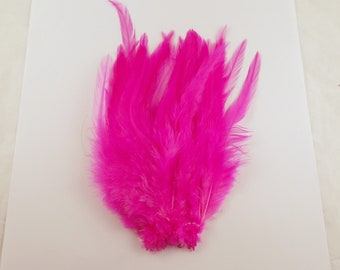 Hot Pink Saddle Feathers fusia 6 to 8 inches 40 pcs