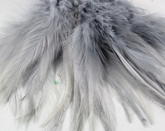 Feathers Premium Strung Saddle Gray 6 to 8 inches 40 pcs