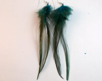 teal real feathers natural feathers