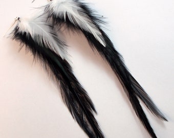 Bald Eagle feather earrings 2 Hypoallergenic real feathers natural feathers