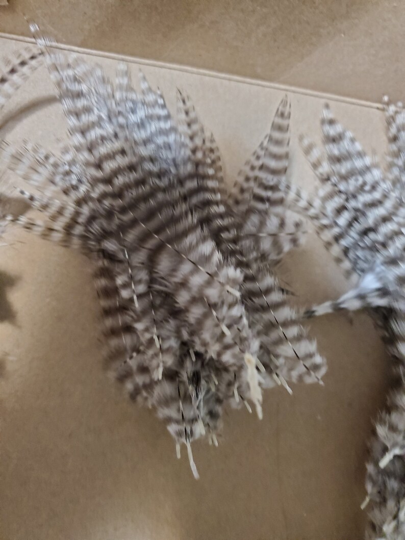 24 Thin Grizzly Feathers Barred Black and White 2 to 5 Inches Etsy
