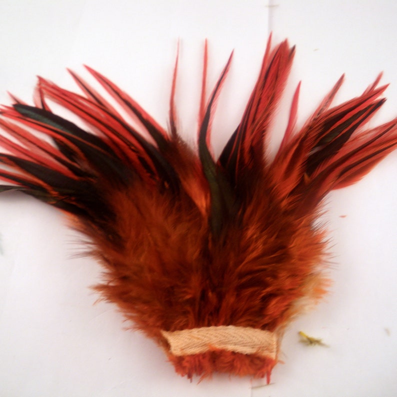 Orange Feathers Eggshell Saddle Rooster Feathers Fly Tying Etsy