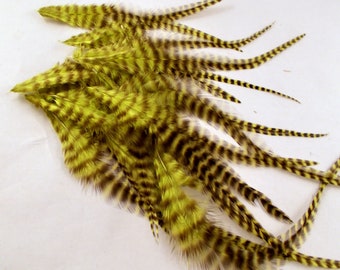 24  yellow olive Grizzly Feathers 3 to 8 inches craft feathers