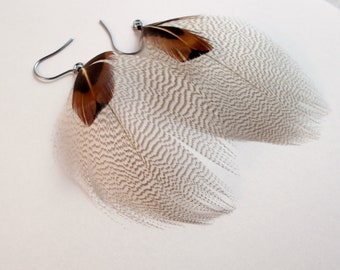 Natural mallard feather earrings Real Feathers