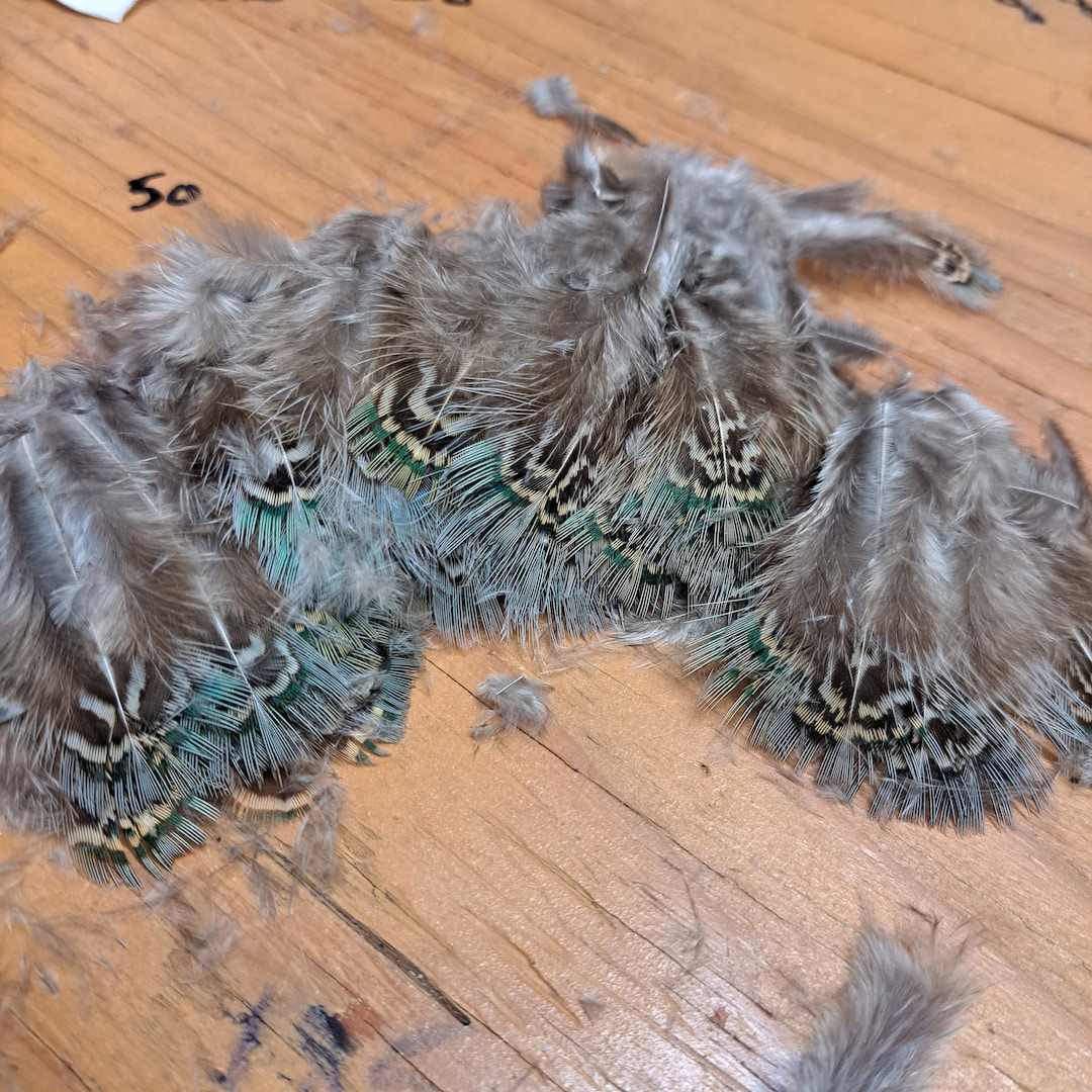 25 Ringneck Pheasant Rump Feathers Natural Green Craft Feathers