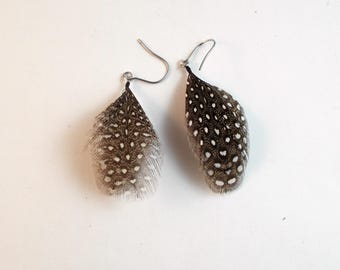 Guinea feather earrings Real Feathers