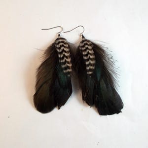 May include: A pair of dangle earrings featuring layered dark brown and black feathers. Each earring is accented with a smaller, central feather displaying a distinct black and white striped pattern. The feathers are attached to silver-toned metal hooks.
