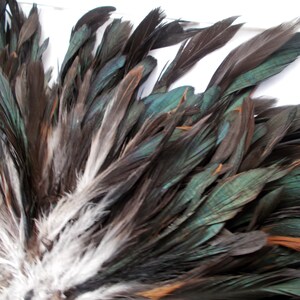 Natural black Schlappen  6 to 7 inches  year of the rooster craft feathers saddle feathers