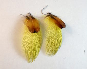 mallard and pheasant feather earrings Real Feathers