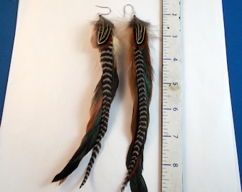 raven black with brown natural feathers