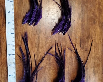 purple grizzly Feathers 3 to 6 inches 24 pk