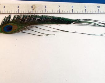 Peacock Feather Hair Clip, Feather Extension