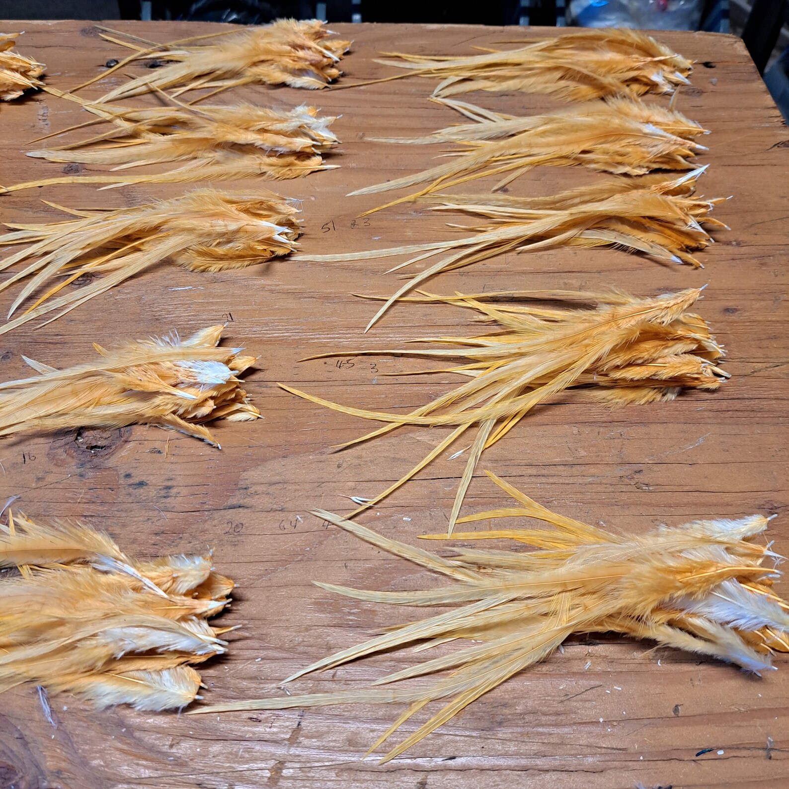 24 Light Ginger Feathers 3 to 8 Inches Craft Feathers Saddle Etsy