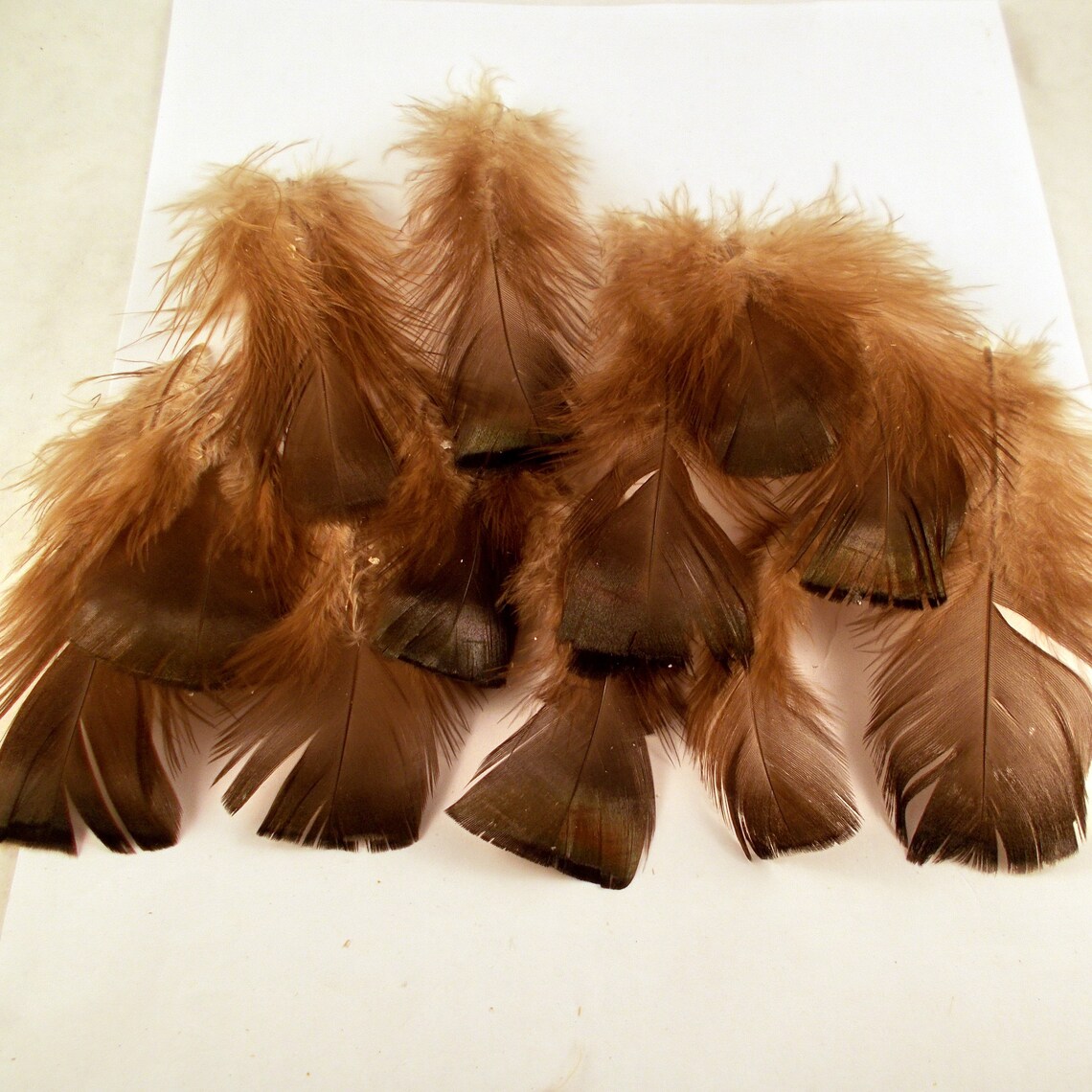 12 Bronze turkey tail feathers natural smudge feathers fan Etsy