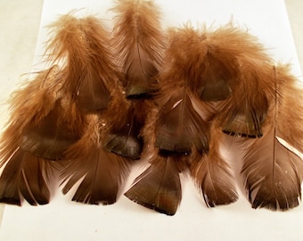 12 Bronze Turkey Tail Feathers: Natural Smudge Fan Craft Supplies (3-6")