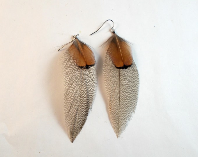 mallard feather earrings Real Feathers