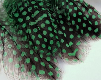 30 pcs Green Feathers Large Dot Guinea craft feathers fly tying