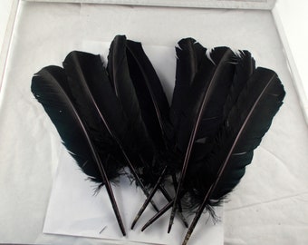 4 Black Eagle Feathers 11 inches wing Feathers smudge feathers fly tying