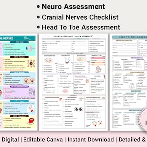 Può includere: Elenco digitale stampabile di tre pagine per la valutazione neurologica, i nervi cranici e la valutazione dalla testa ai piedi. Le pagine sono bianche con diagrammi e testo colorati. Il testo include "Neuro Assessment", "Cranial Nerves Checklist" e "Head To Toe Assessment".