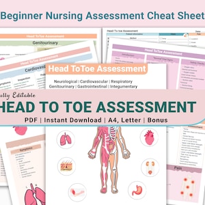 May include: A collection of printable nursing assessment cheat sheets. The sheets include sections for head-to-toe assessment, covering neurological, cardiovascular, respiratory, and other systems. The text includes "Head To Toe Assessment" and "Beginner Nursing Assessment Cheat Sheet".