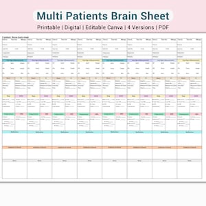 Hospiz Krankenschwester Bericht Blatt: 8,4 Patient, Vitalzeichen bearbeitbare Vorlage (PDF & Canva)