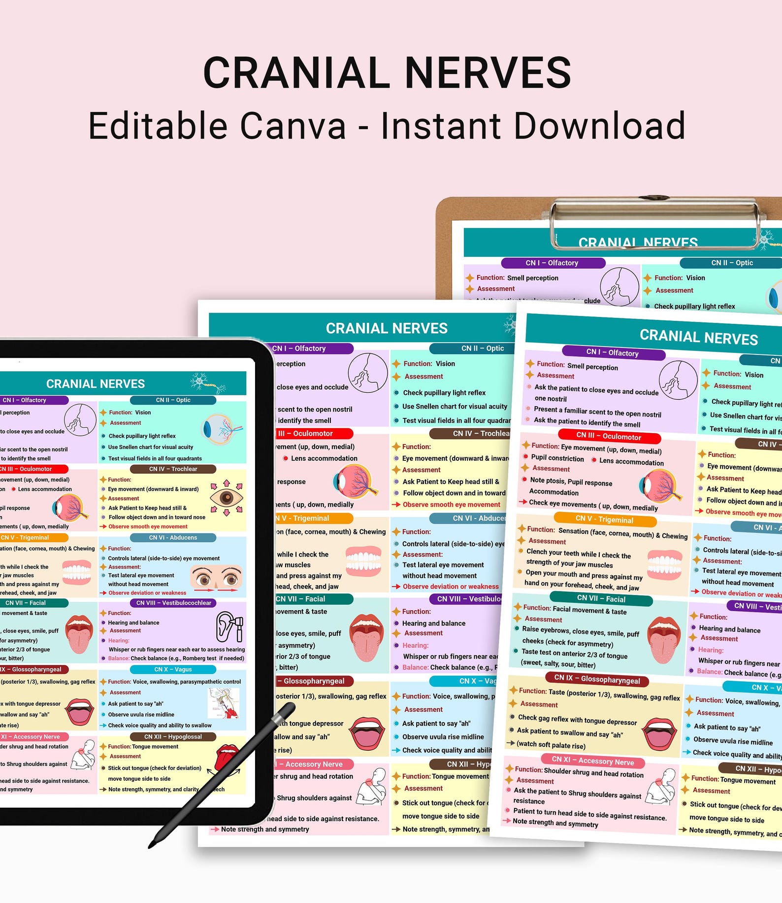 Cranial Nerves Assessment: Nursing Cheat Sheet With Mnemonics ...