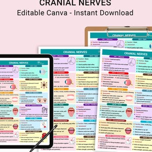 Cranial Nerves Assessment: Nursing Cheat Sheet With Mnemonics ...