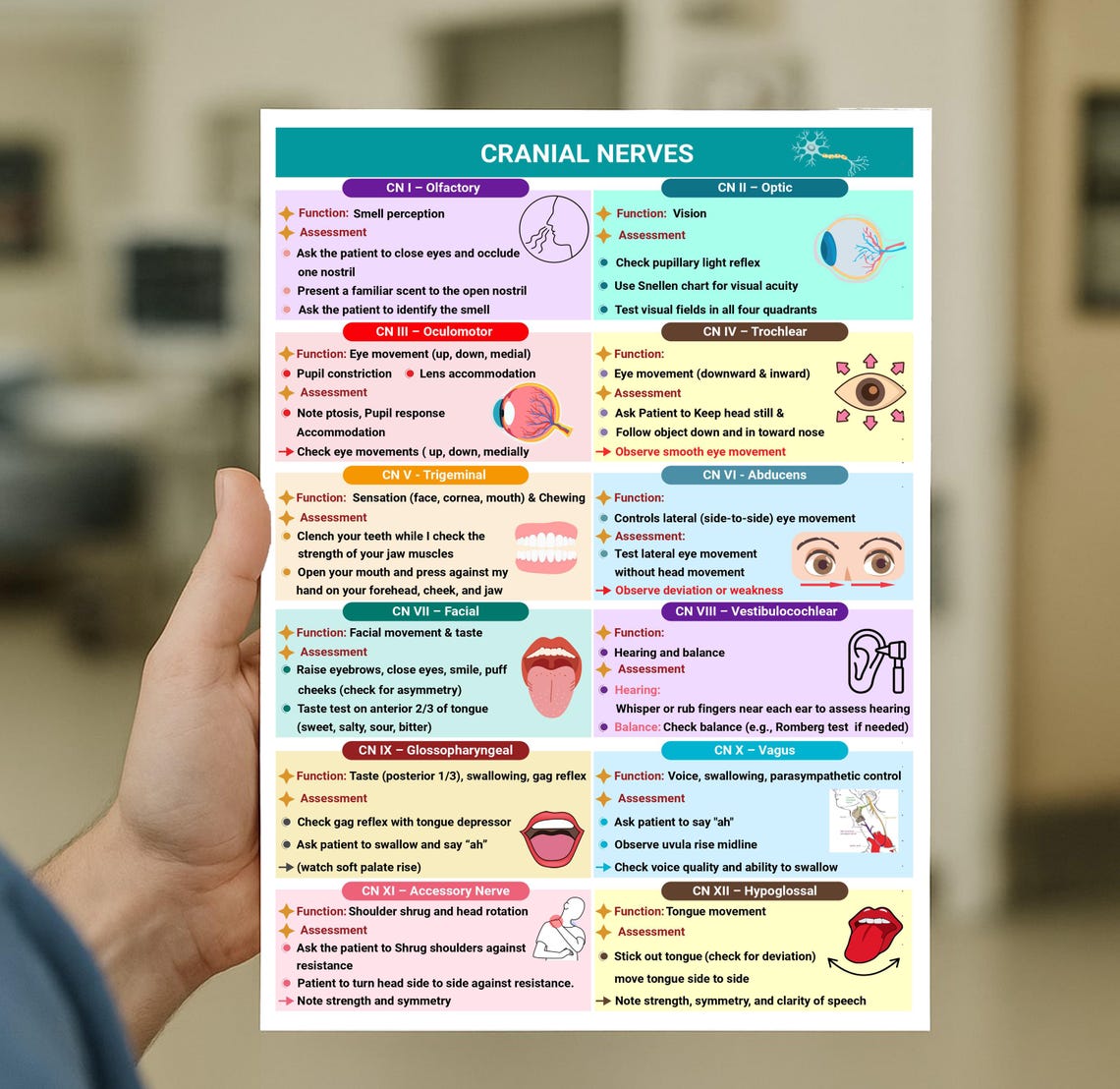 Cranial Nerves Assessment Nursing Cheat Sheet With Mnemonics 