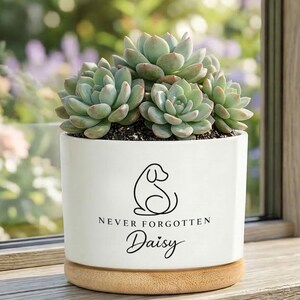 Puede incluir: Una maceta de cerámica blanca con base de madera clara que contiene una suculenta verde. La maceta presenta un dibujo lineal negro de un perro y el texto "NEVER FORGOTTEN Daisy" impreso en negro en la parte frontal del recipiente.