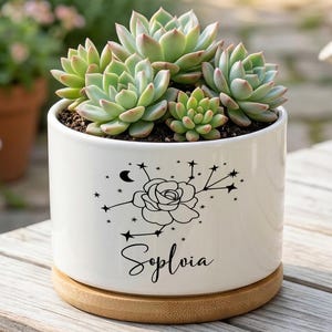 May include: A white cylindrical ceramic planter containing a cluster of green succulents. The planter features a black line art graphic of a rose surrounded by stars and a crescent moon, with the name Sylvia written in cursive script below it.