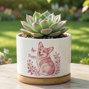 Può includere: Un vaso cilindrico in ceramica bianca con base in bambù contenente una pianta succulenta verde. Il vaso presenta un'illustrazione rossa di un cane Corgi circondato da fiori e una farfalla, con il nome Poppy stampato in rosso.