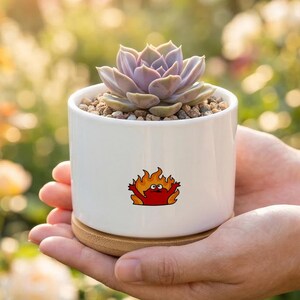 Puede incluir: Una maceta de cerámica blanca con una planta suculenta y pequeñas piedras, con un diseño de llama de dibujos animados. La maceta se asienta sobre una base de madera y se sostiene en manos abiertas, con un fondo de jardín borroso.