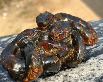 Tallado de Serpientes de Ámbar RARO / Simojovel / Chiapas / Minerales Finos / Tallado de Ámbar / Escultura de Ámbar / Serpiente de Cristal