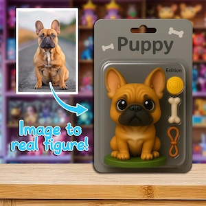 Benutzerdefinierte Haustier-Aktionsfigur vom Foto - Personalisierter Hund oder Katze 3D Chibi-Figur Spielzeug - niedliches Cartoon-Art-virtuelles Sammlergeschenk