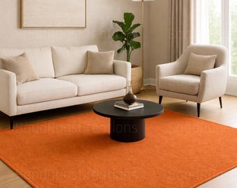Solid Burnt Orange Area Rug, Modern Minimalist Carpet for Living Room & Bedroom, Soft Plush Floor Rug Home Decor