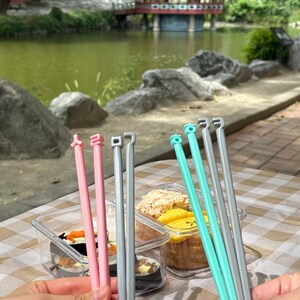 Puede incluir: Una escena de picnic con recipientes de pl&aacute;stico transparente con sushi y otros alimentos, acompa&ntilde;ados de palillos rosas, grises y turquesas. El fondo incluye un lago, rocas y un pabell&oacute;n coreano.