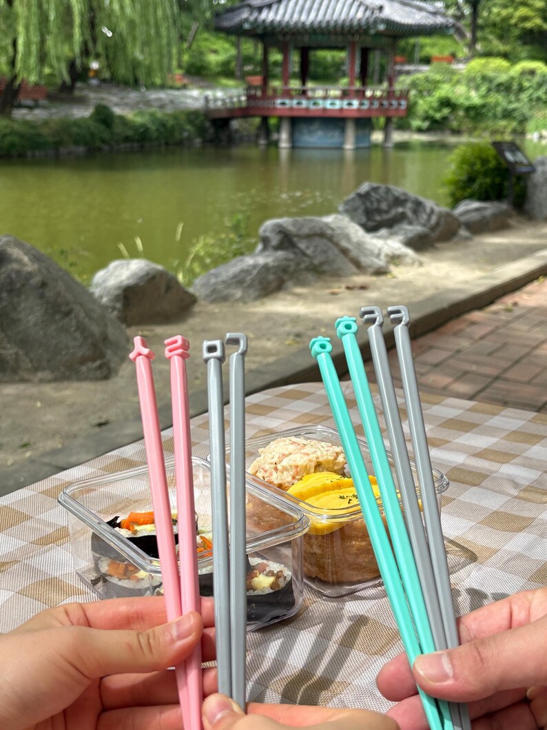 Puede incluir: Una escena de picnic con recipientes de pl&aacute;stico transparente con sushi y otros alimentos, acompa&ntilde;ados de palillos rosas, grises y turquesas. El fondo incluye un lago, rocas y un pabell&oacute;n coreano.