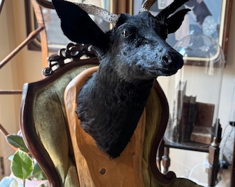 Hand Dyed Black Deer Mount On Custom Abstract Plank, Hanging Hardware Included, Oddity & Curiosity Taxidermy
