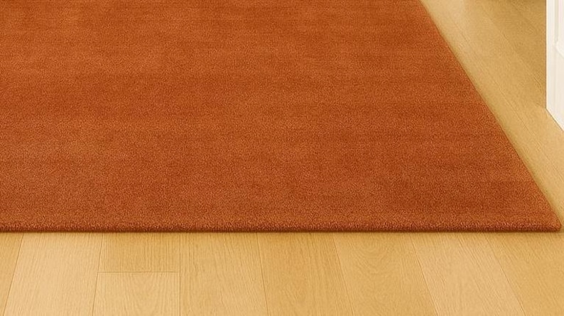 Contemporary bedroom design featuring terracotta floor rug
