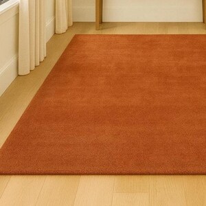 Warm solid rust rug for minimalist home interior styling