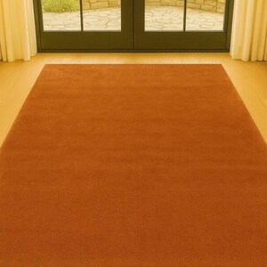 Modern neutral room decor with rust rug and light wood furniture
