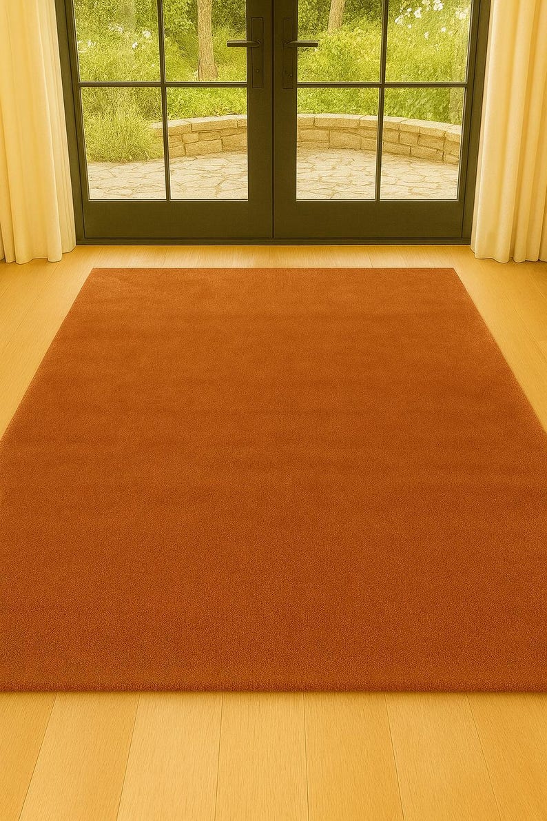 Modern neutral room decor with rust rug and light wood furniture