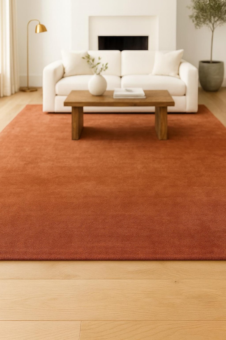 Minimalist solid color rug under wooden bed frame decor